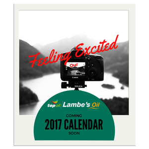 Lambes Oil Calendar Competition