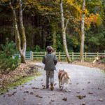 Lorraine Harmsworth Dog walking Emo in Autumn