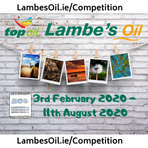 Photo Competition 2020