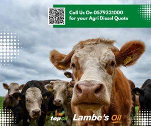 Lambes-Oil-Green-Diesel-Prices